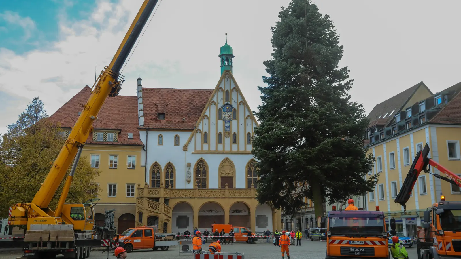 Amberg sucht bereits im Sommer nach Weihnachtsbäumen.  (Archivbild: Wolfgang Steinbacher)