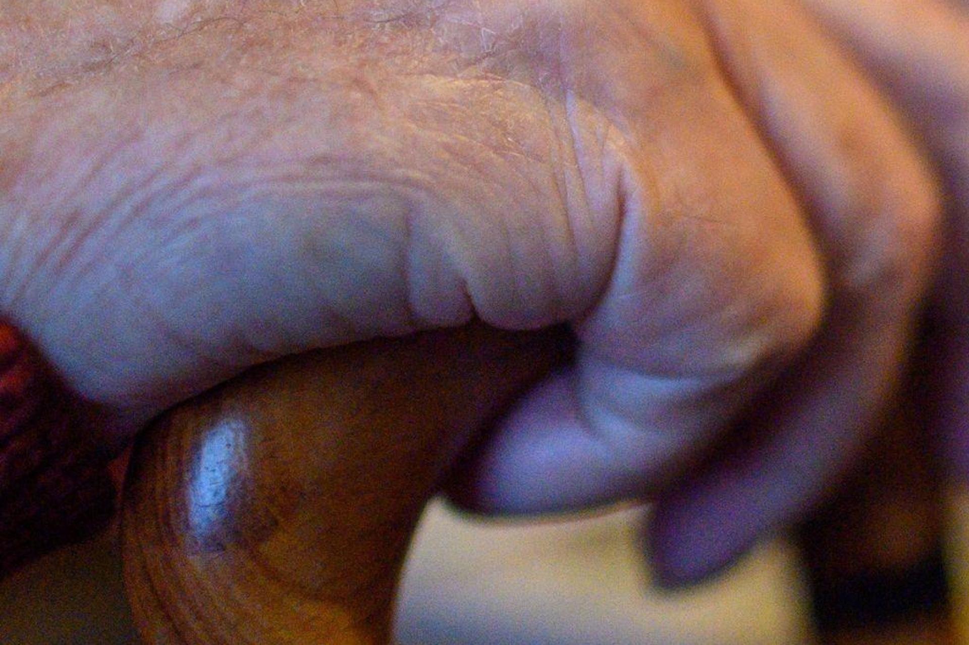 Ein 61-jähriger Münchberger benutzte seinen Gehstock als Schlaginstrument.  (Symbolbild: Klaus-Dietmar Gabbert/dpa)