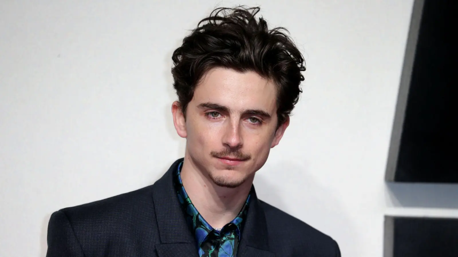 Die Berlinale zeigt am 14.2. „Like A Complete Unknown“ mit Timothée Chalamet als deutsche Premiere und in Anwesenheit des Filmstars. (Archivbild) (Bild: Fred Duval/SOPA Images via ZUMA Press Wire/dpa)