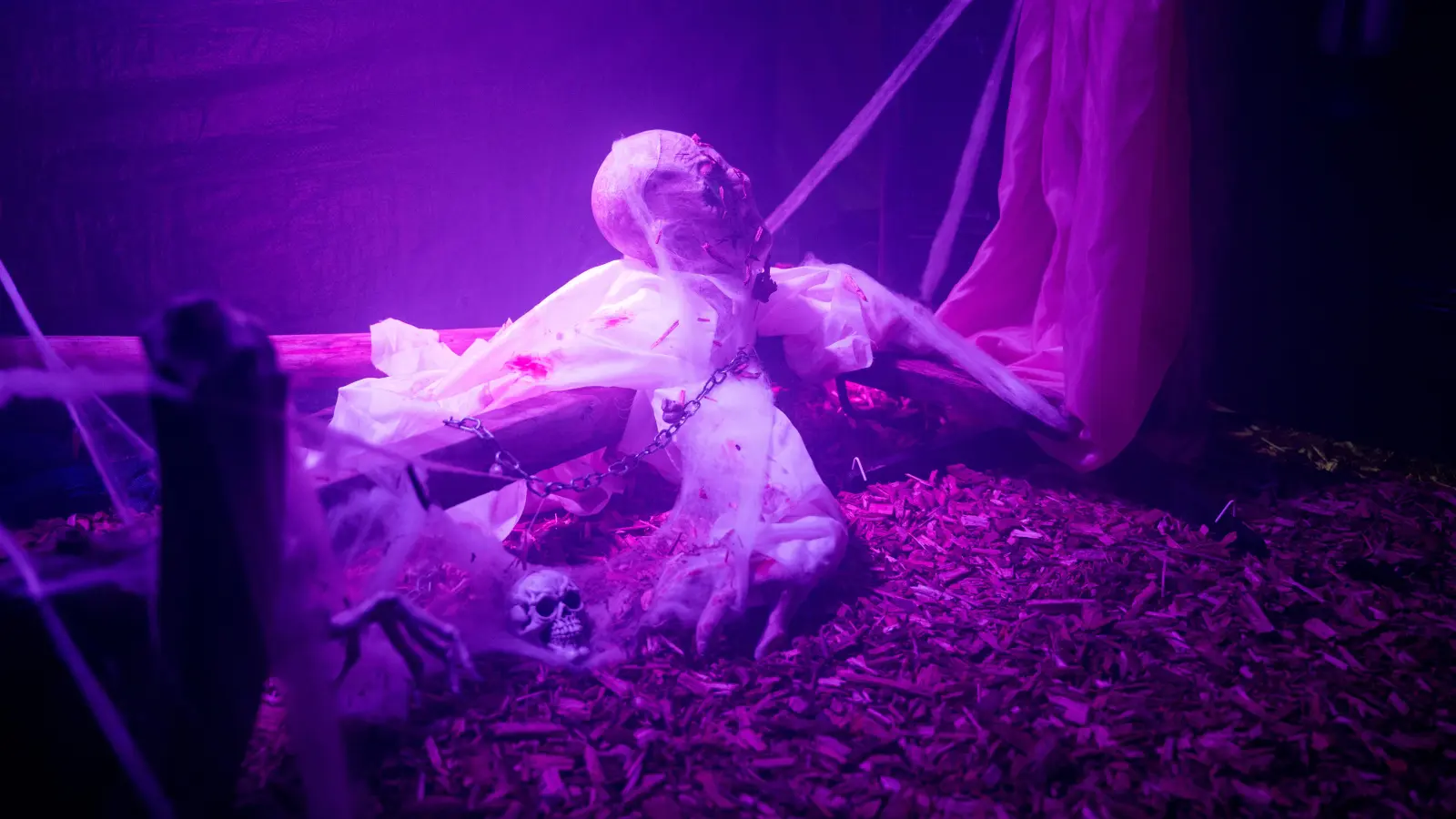 Auch in diesem Jahr ist im Garten der Familie Lenk einiges geboten.<br> (Bild: Marina Gube)