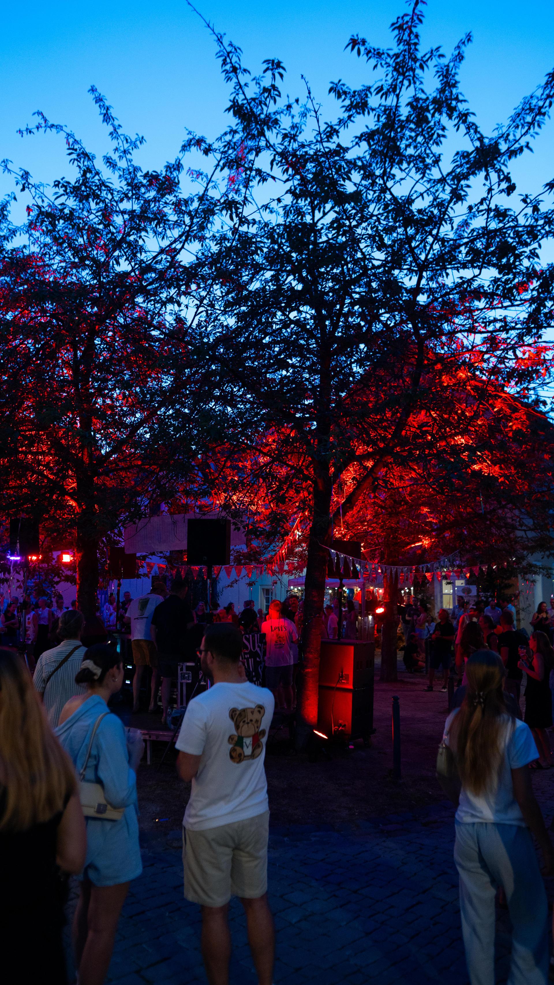 Eindrücke des Abends. (Bild: Hannes Stock)