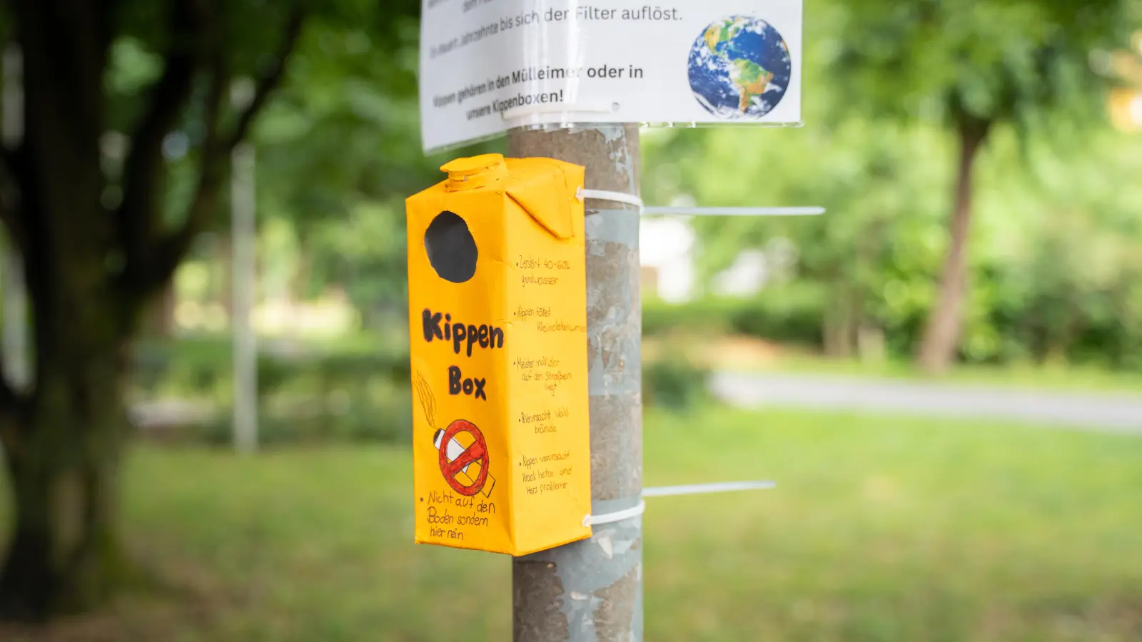 Schülerinnen der Sophie-Scholl-Realschule bastelten Kippenboxen für den Max-Reger-Park in Weiden. (Bild: Marina Gube)
