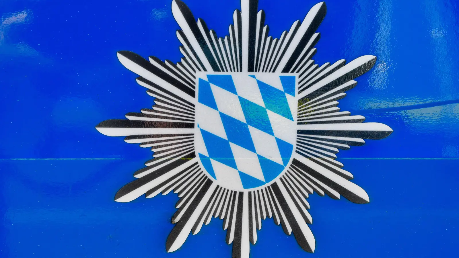 Die Polizei Weiden sucht nach drei Jugendlichen, die vermutlich einen Mülleimer an der Grundschule in Rothenstadt angezündet haben. (Bild: Petra Hartl)