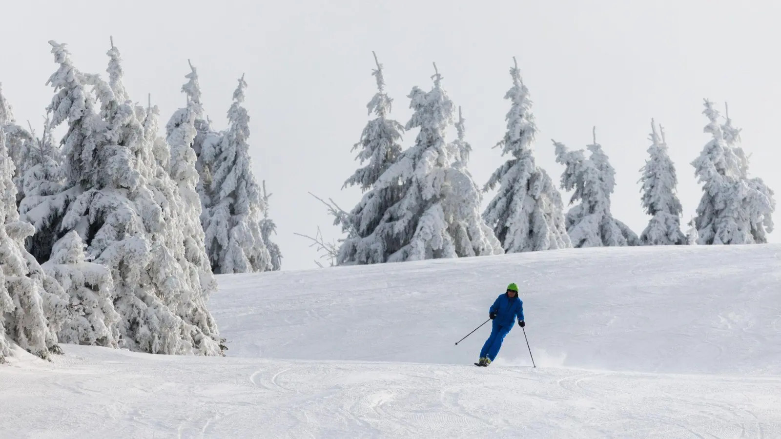 Ein Wintersportler fährt auf Skiern eine Piste hinunter. (Bild: Philipp von Ditfurth/dpa)