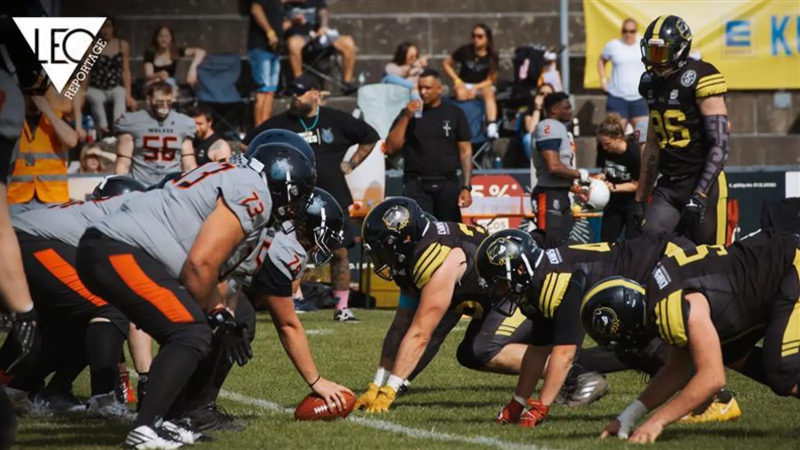 Die Amberg Mad Bulldogs in ihrem Element. (Bild: Michael Sandner)