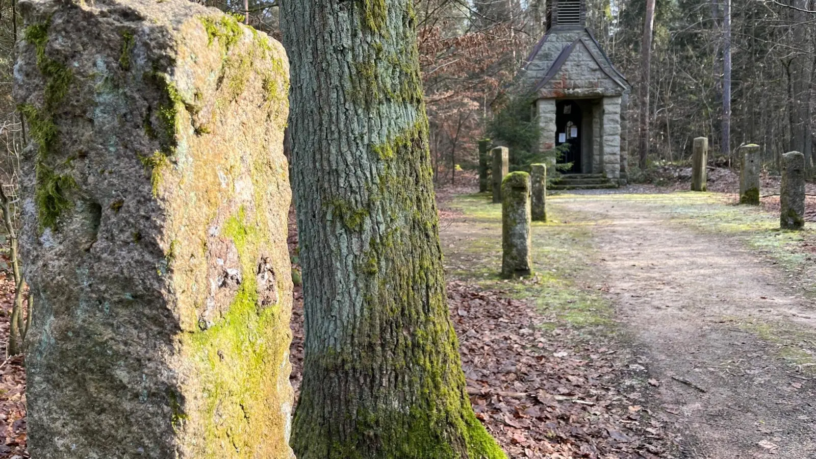 An sechs Säulen des Kreuzwegs zur Kapelle zur Heiligen Staude haben Unbekannte die Bronzereliefs entwendet. Nun ermittelt die Polizei.  (Bild: Gabi Schönberger)