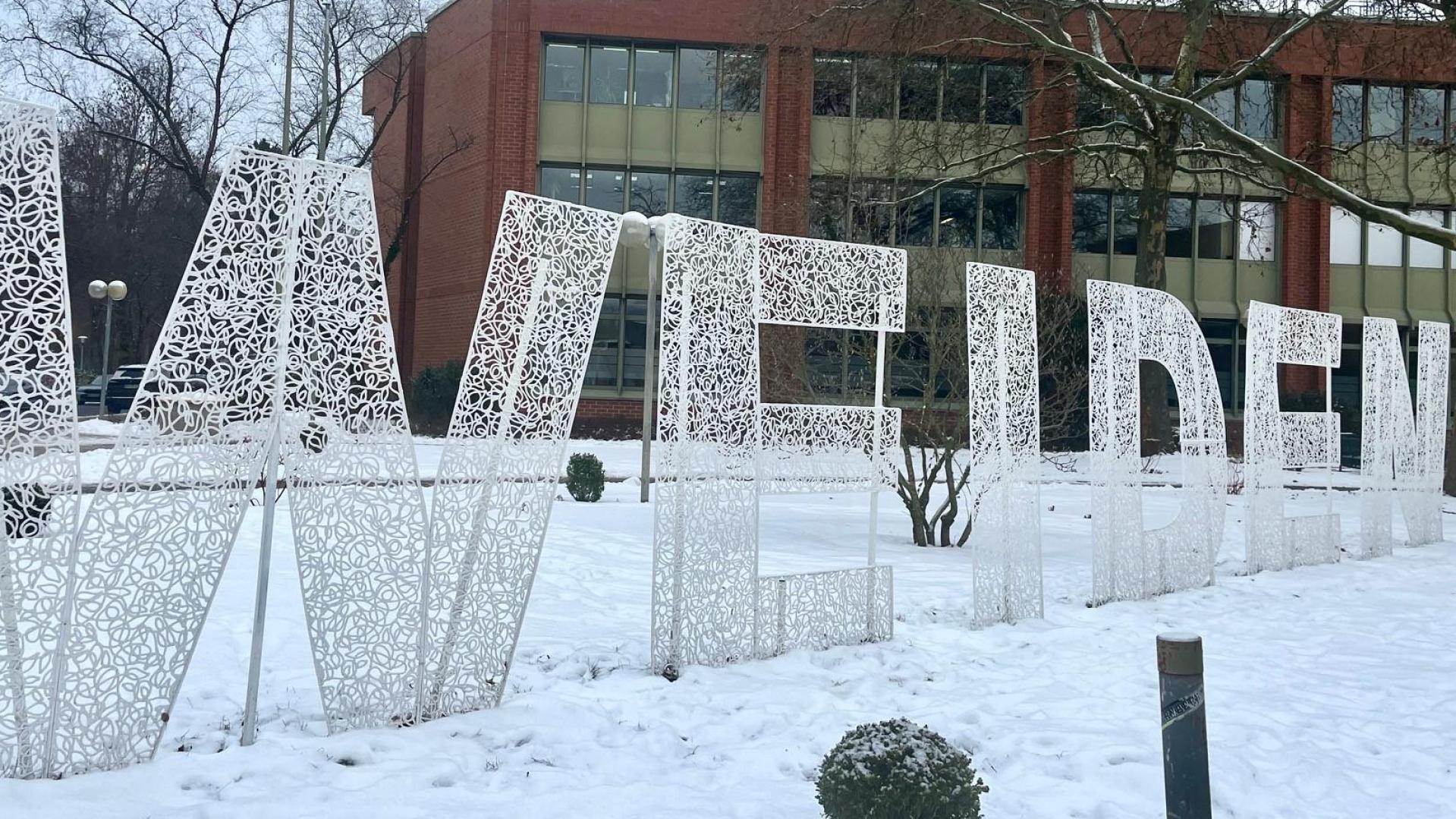 Vor dem Rathaus in Weiden versammeln sich am Donnerstag, 29. Januar, Menschen zu einer Kette, um sich gegen Rechtsextremismus zu positionieren.  (Archivbild: Gabi Schönberger)