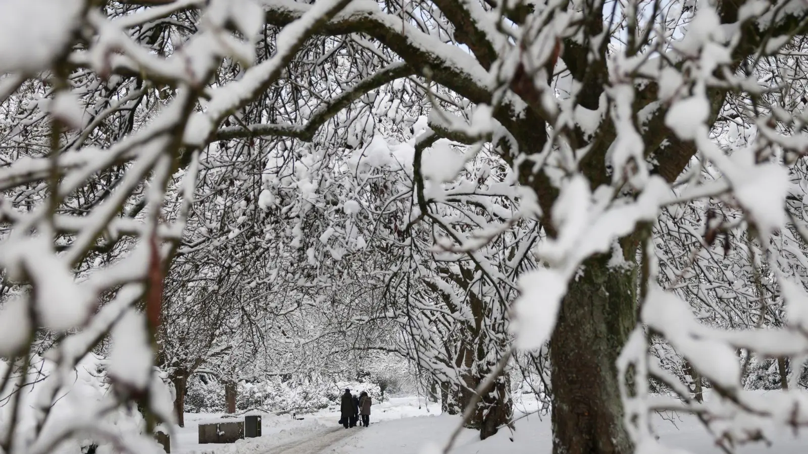 Die erhebliche Schneelast auf den Bäumen am Waldfriedhof Weiden kann zu brechenden Ästen führen. Deshalb bleibt der Friedhof für Besucher geschlossen. Ausnahme sind bereits terminierte Trauerfeiern und Beisetzungen. (Symbolbild: Christian Charisius/dpa)