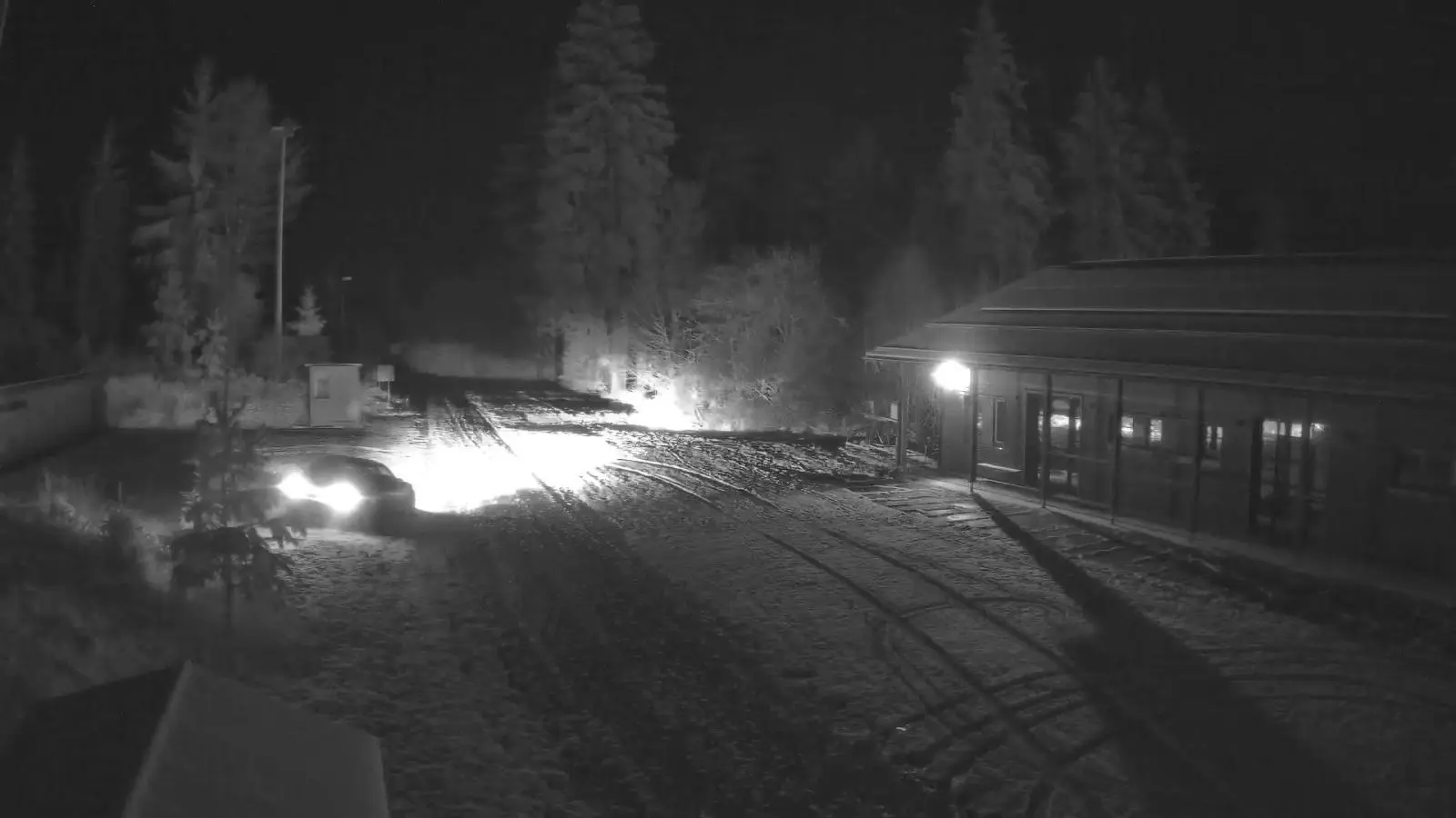 Am Dienstag war wieder ein „Loipen-Rowdy” auf der Silberhütte unterwegs. Die Webcam hat alles genau aufgezeichnet. (Bild: Förderverein SLZ Silberhütte/exb)