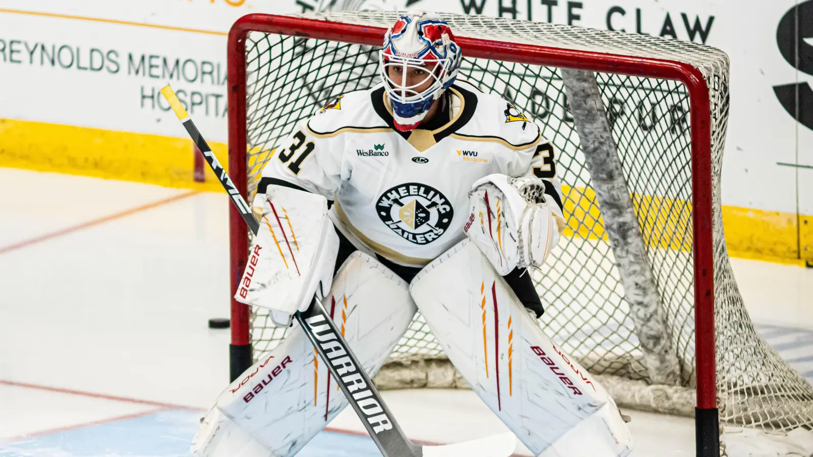 Michael McNiven ist der neue Torhüter der Blue Devils Weiden. (Bild: Wheeling Nailers/Verein)