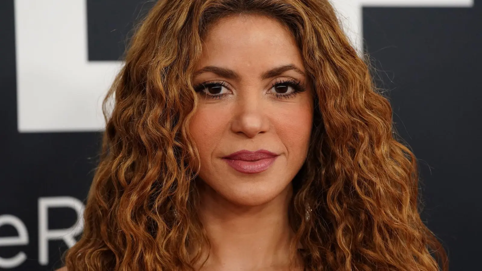 Shakira hat für den neuen „Zoomania“ einen Song beigesteuert. (Archivbild) (Bild: Jordan Strauss/Invision/dpa)