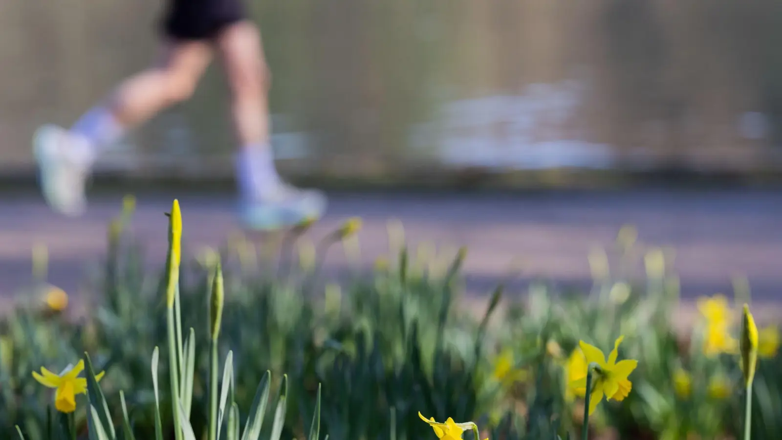 Der Frühling ist die perfekte Zeit, um eine neue Sportart auszuprobieren. (Bild: Rolf Vennenbernd)