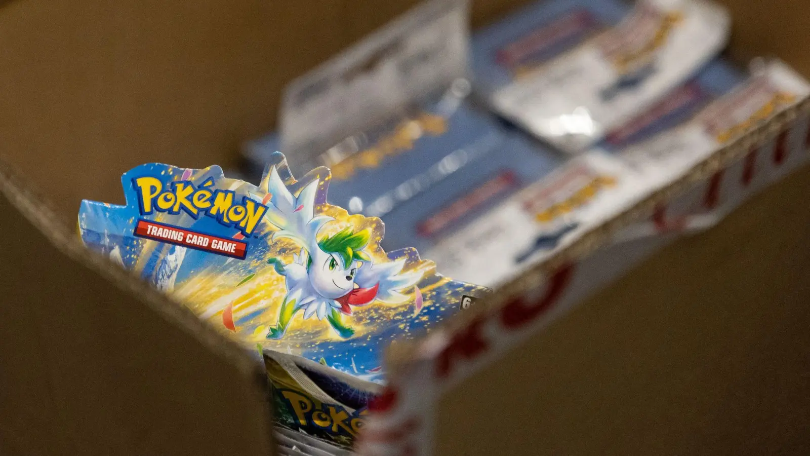 Der Handel mit Pokémon-Sammelkarten hat in den vergangenen Jahren wieder an Bedeutung gewonnen. Seltene Exemplare erzielen teils hohe Preise. (Symbolbild) (Bild: Hannes P. Albert/dpa)