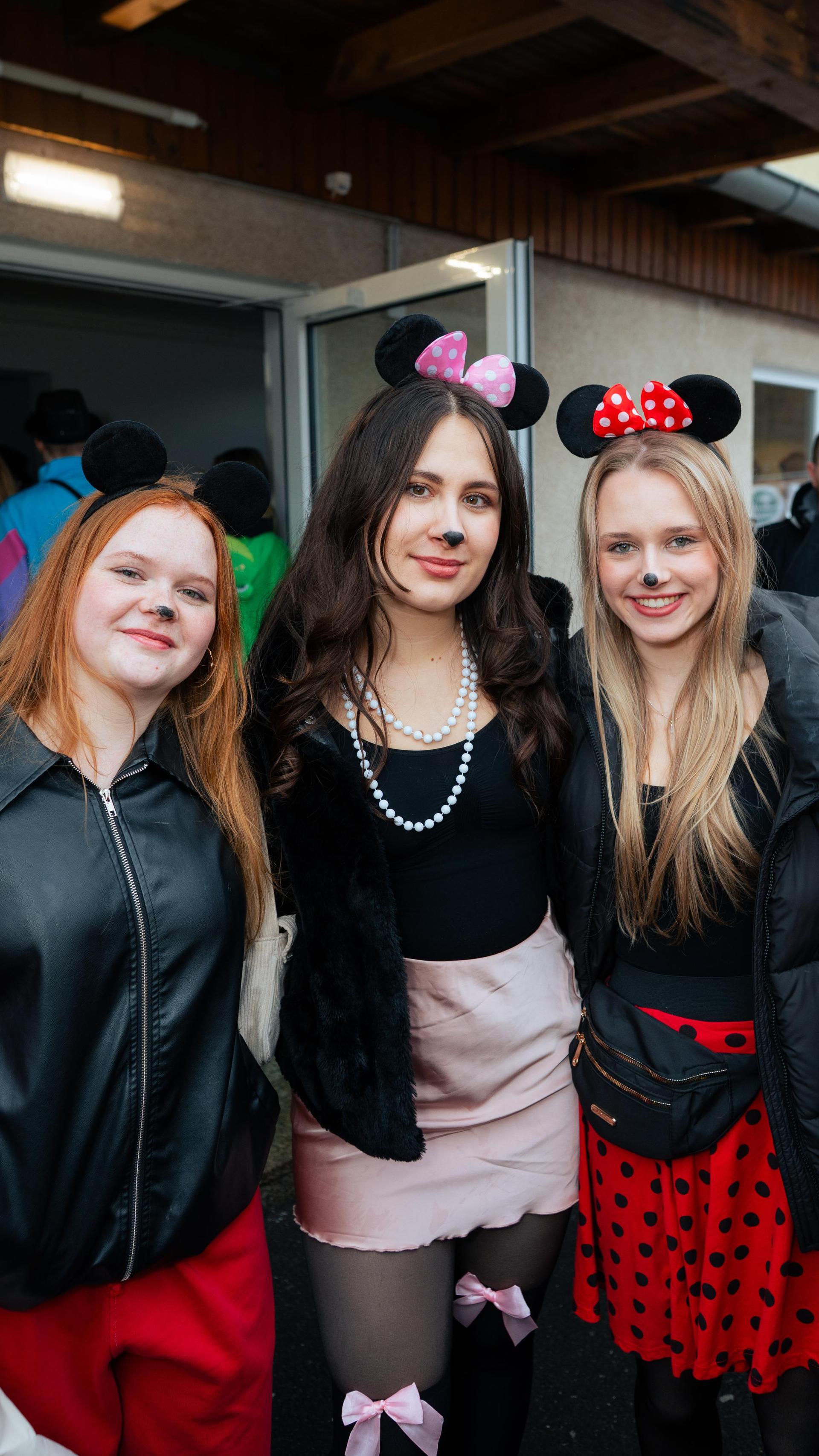 Am Sonntag wurde es bunt beim Pressather Faschingszug. (Bild: Hannes Stock)