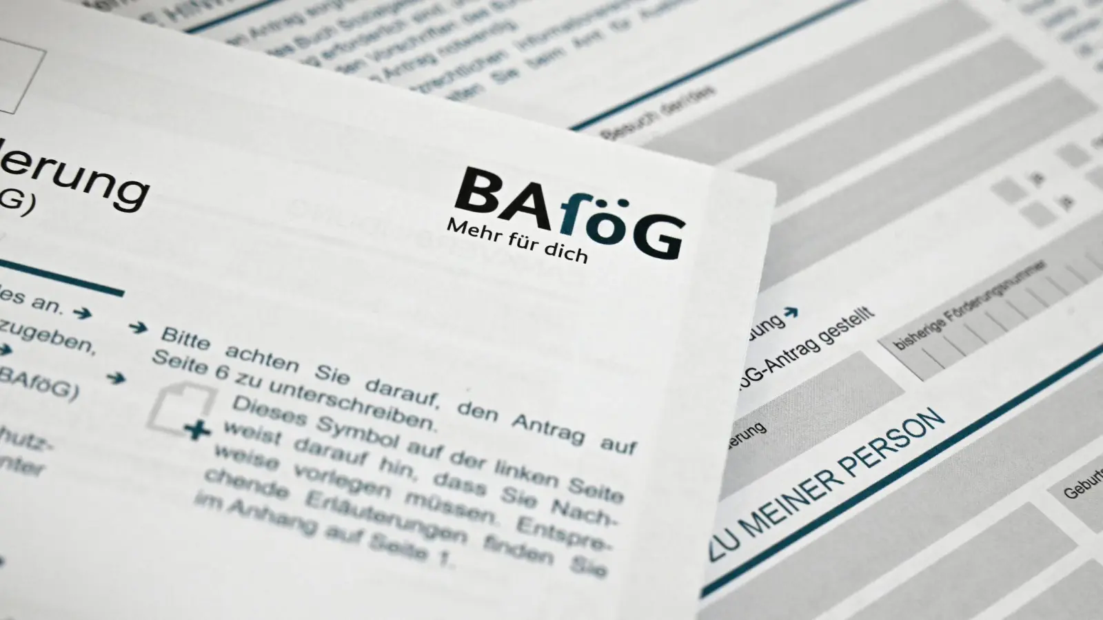 Durchschnittlich 635 Euro erhielten die Geförderten pro Monat im vergangenen Jahr. (Symbolbild: Elisa Schu/dpa)