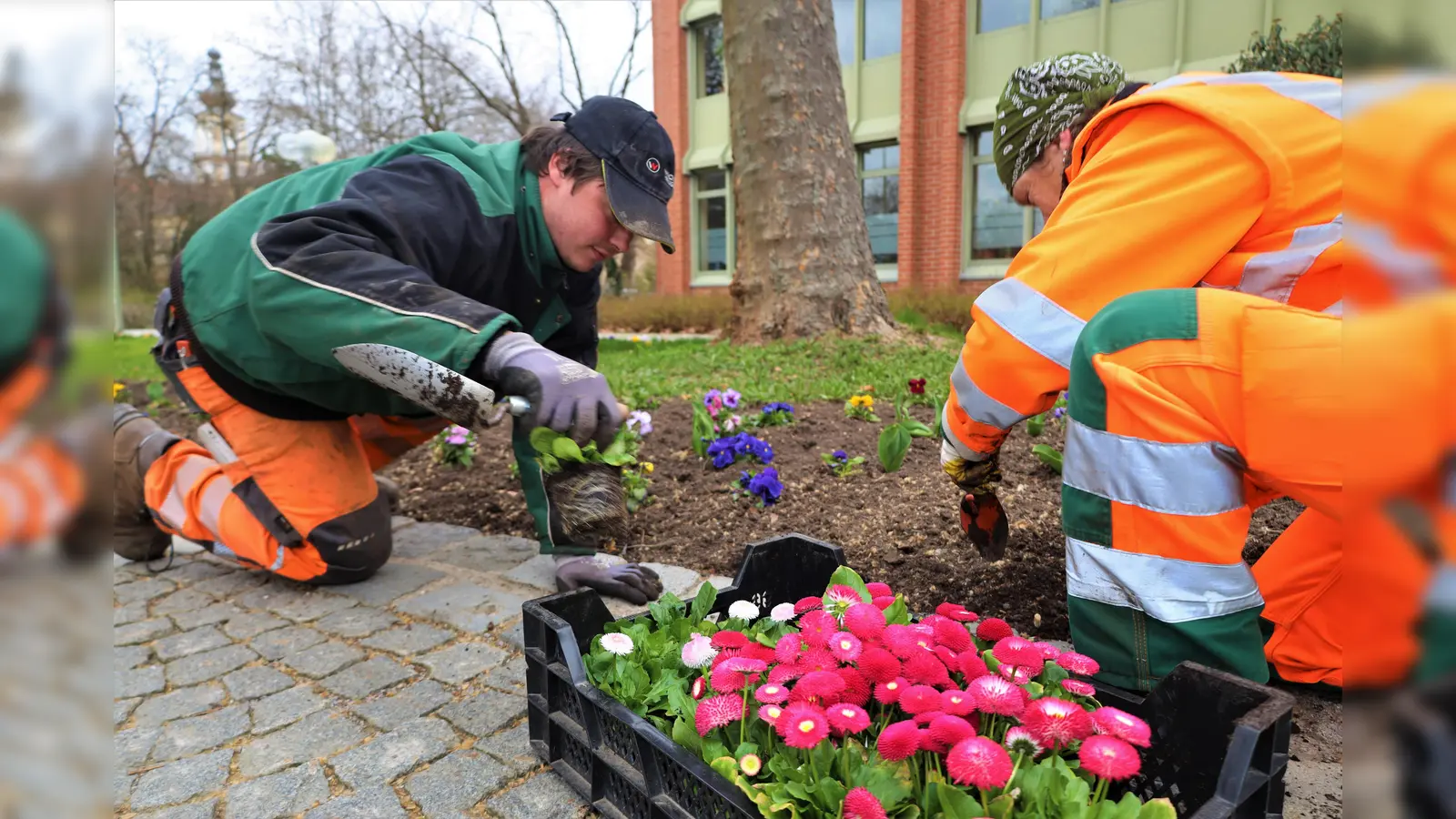 Die Mitarbeiter der Stadtgärtnerei haben heuer etwas früher mit der Frühjahrsbepflanzung begonnen. (Bild: Pressestelle Stadt Weiden/exb)