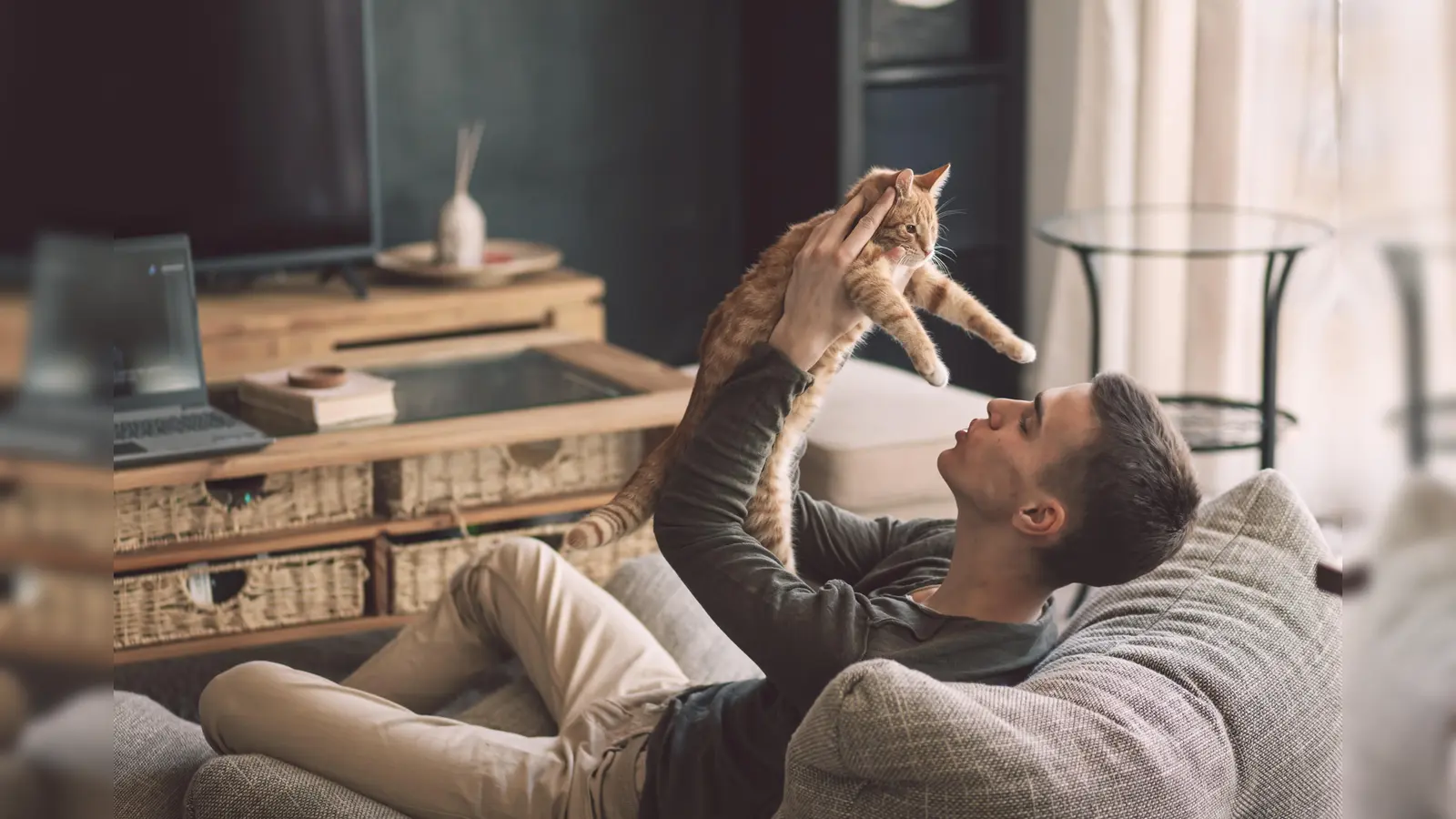 Ist Weiden voll von alleinstehenden Katzeneltern? (Symbolbild: Alena Ozerova/Adobe Stock)