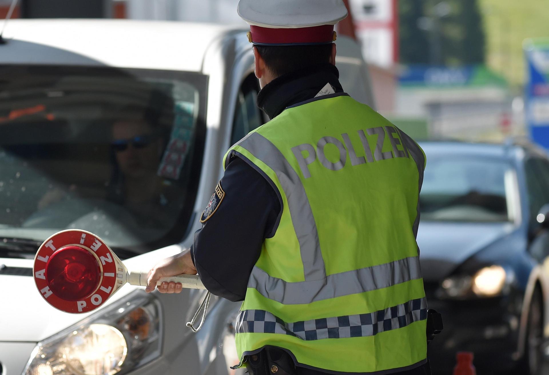 Die Grenzpolizei Waidhaus entdeckt bei Kontrolle auf der A6 einen Hund mit gefälschtem Impfausweis. (Symbolbild: Angelika Warmuth/dpa)