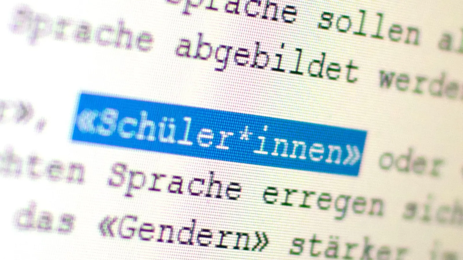 Auf einem Bildschirm ist das Wort „Schüler*innen“ zu sehen. (Bild: Gregor Bauernfeind/dpa/Symbolbild)
