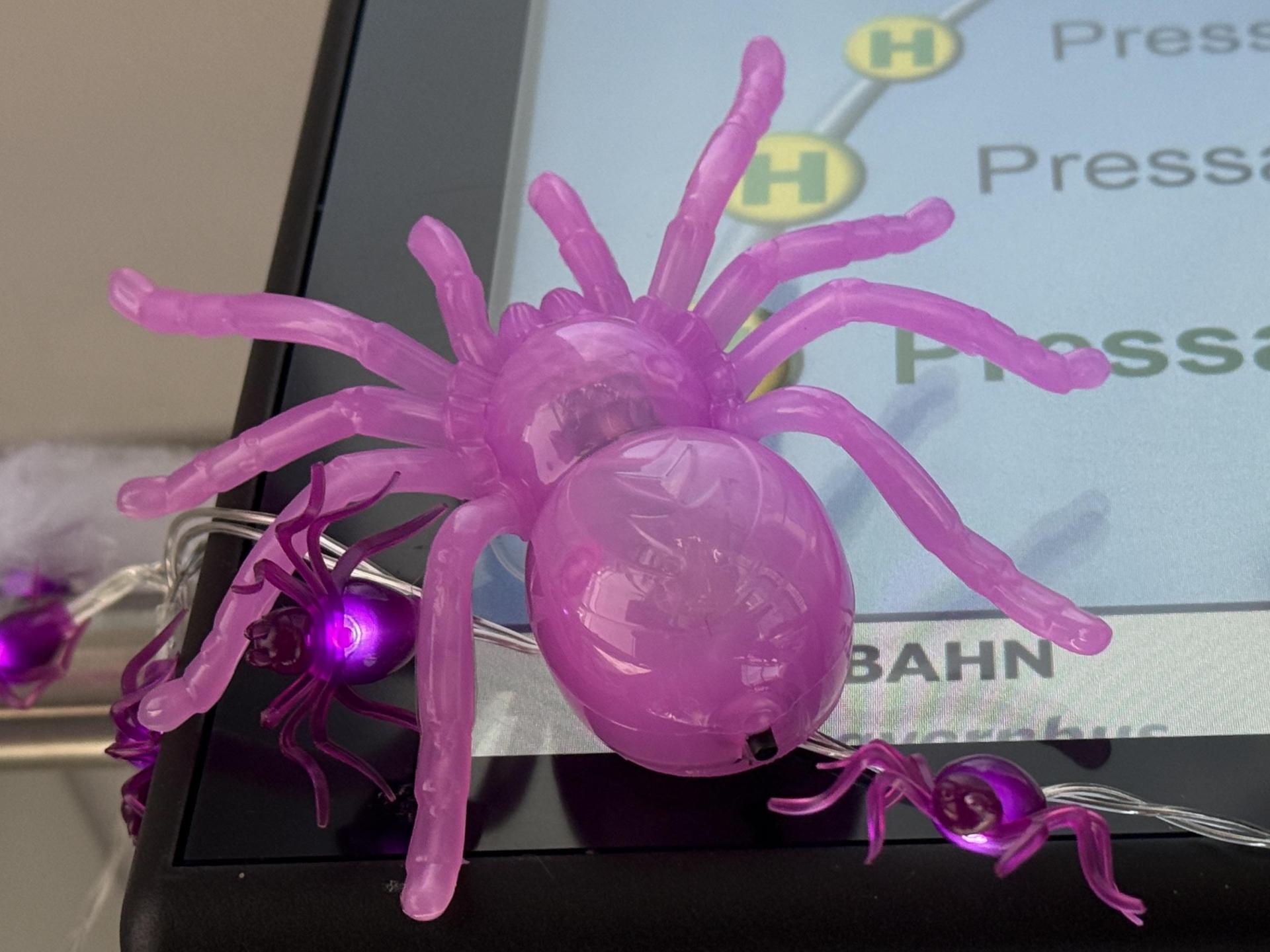 Pinke Spinnen hängen an der Anzeige im Bus. (Bild: Gabi Schönberger)