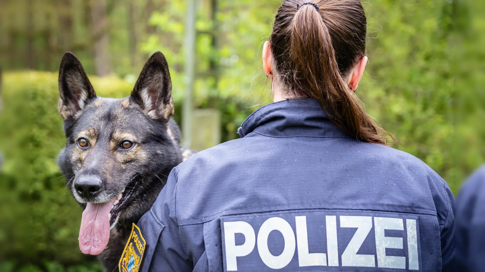 Steffi und Face am Hundeplatz vor einem gemeinsamen Training. (Bild: ama)