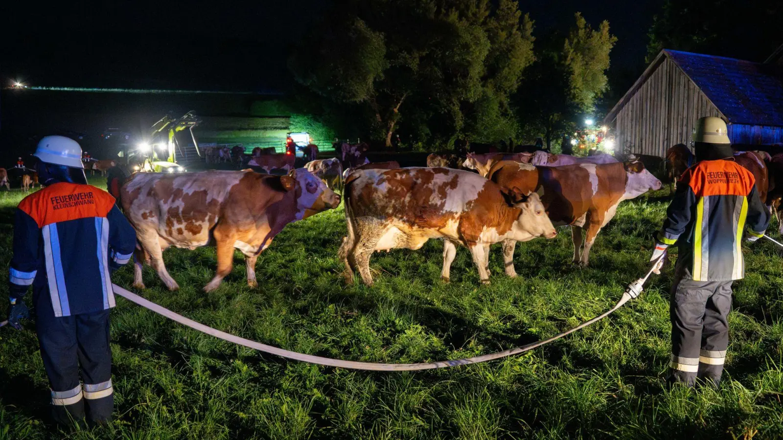 Rund 100 Kühe wurden aus den Stallungen gerettet. (Bild: Lars Haubner/News5/dpa)