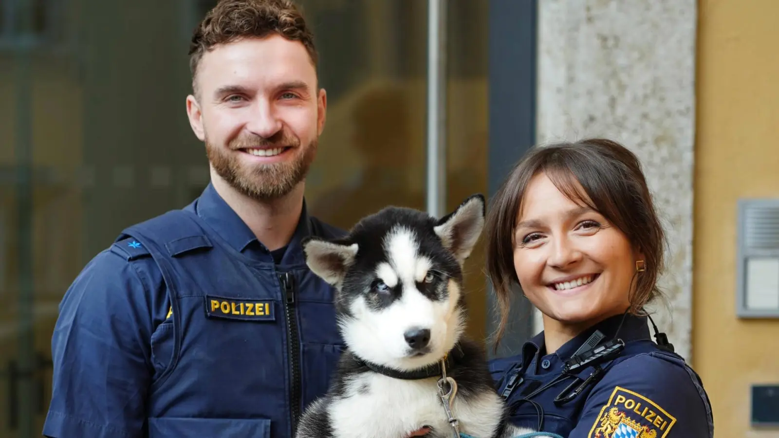 Ein kleiner Huskywelpe sucht in Regensburg seinen Besitzer. (Bild: Tobias Weingärtner/Polizeipräsidium Oberpfalz)