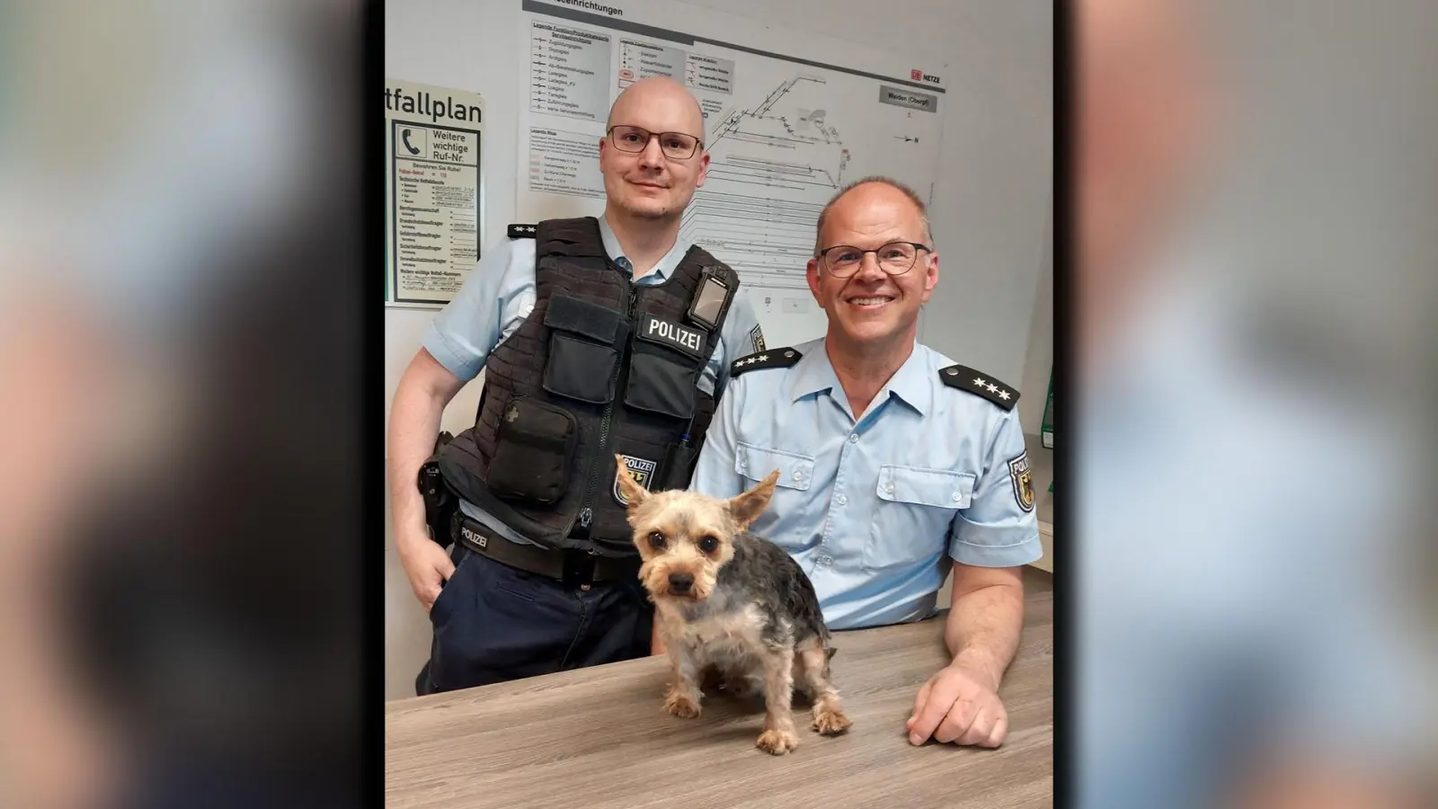 Polizisten der Bundespolizei kümmern sich um Yorkshire Terrier Rocky, als der von seinem Halter ausgebüchst ist.  (Bild: Foto Bundespolizei)