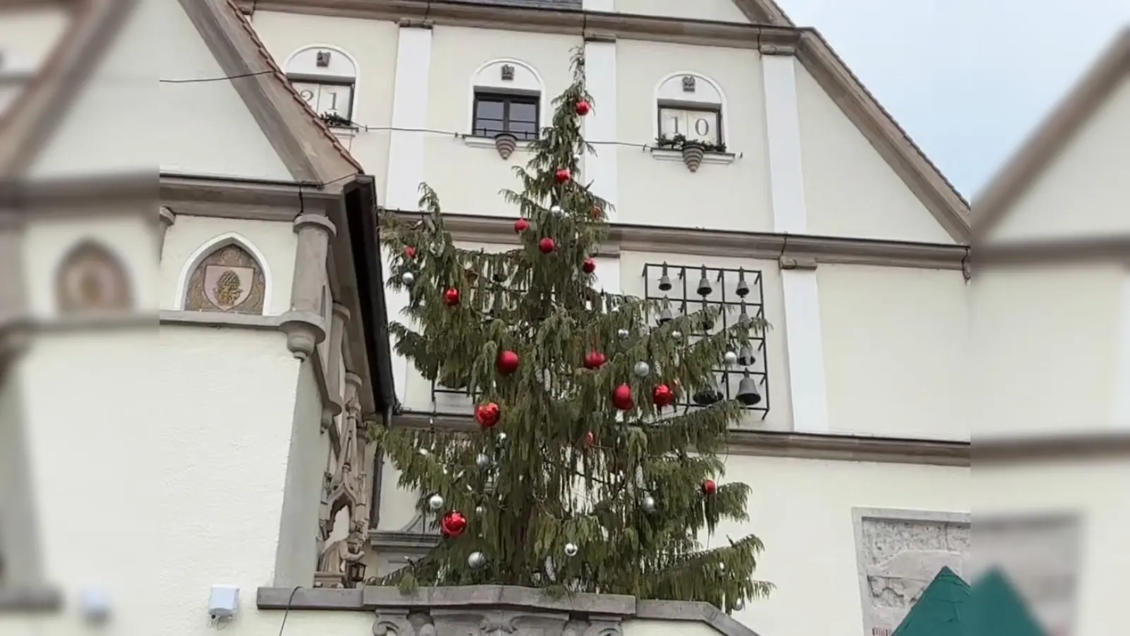 Ist das der „hässlichste Baum” des Landes?  (Bild: mcl)