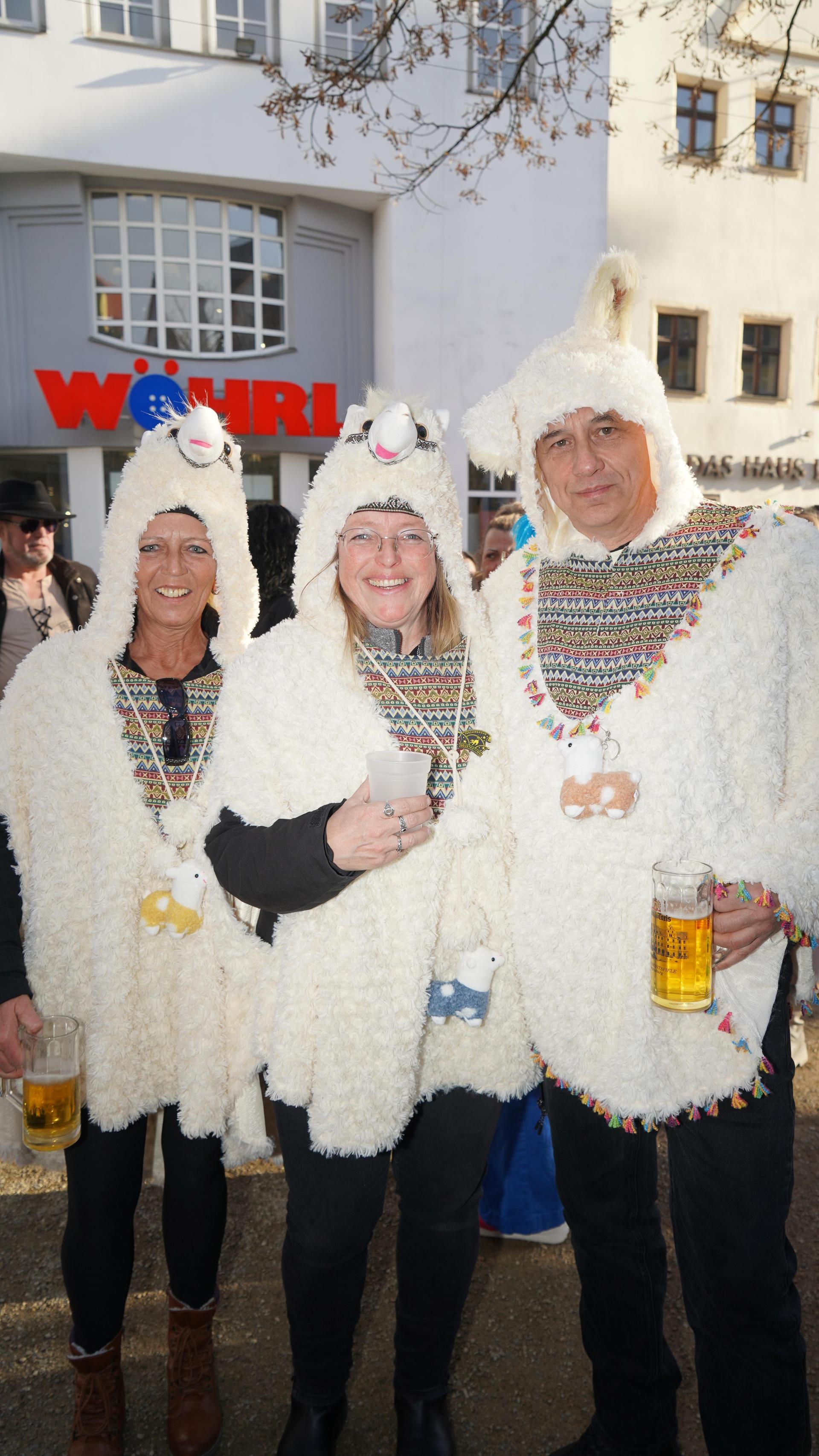 So war der Faschingsdienstag in der Weidener Innenstadt. (Bild: mcl)