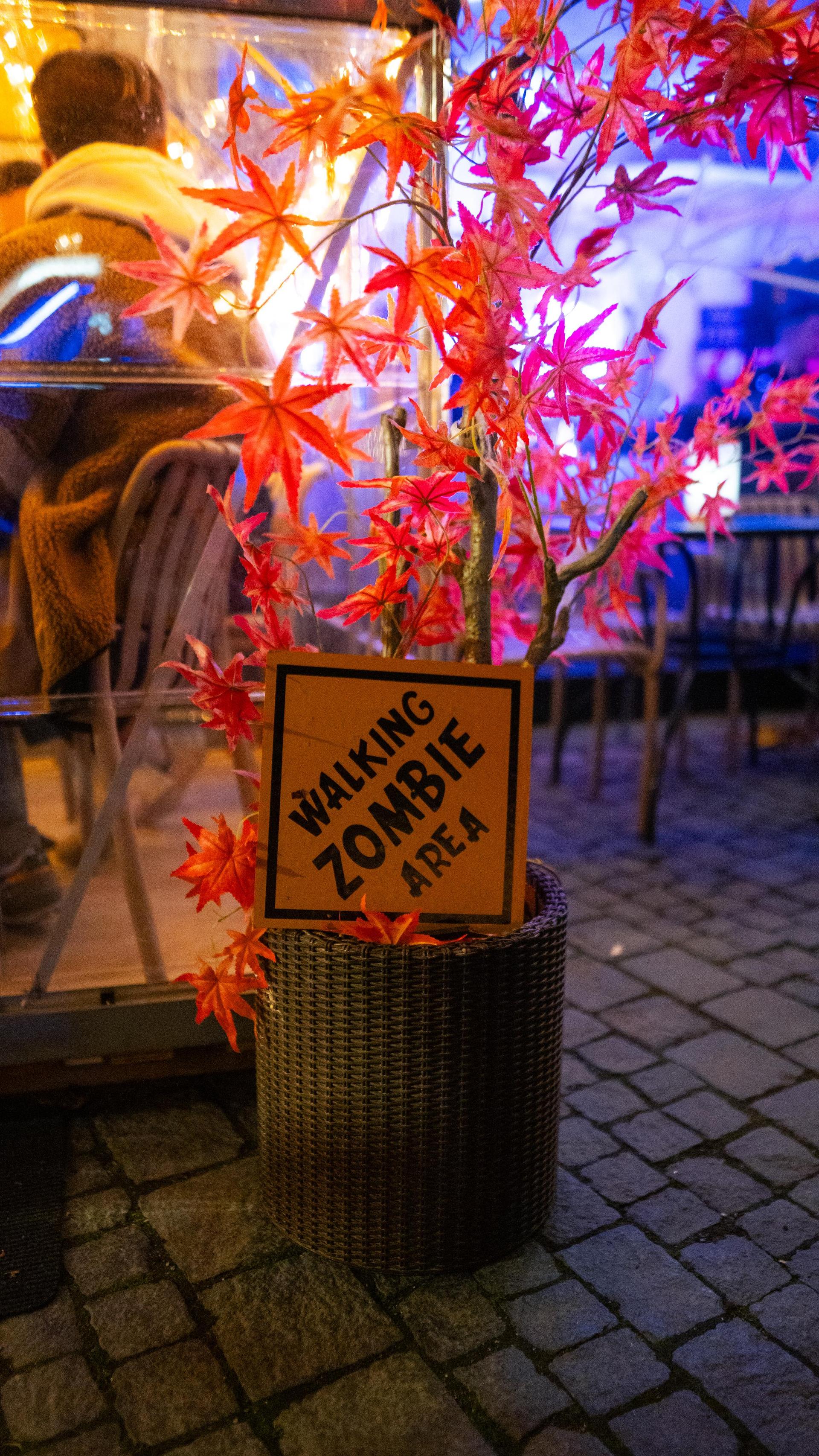 Exklusive Einblicke in die Halloween-Party in der Santorino-Bar. (Bild: Hannes Stock)