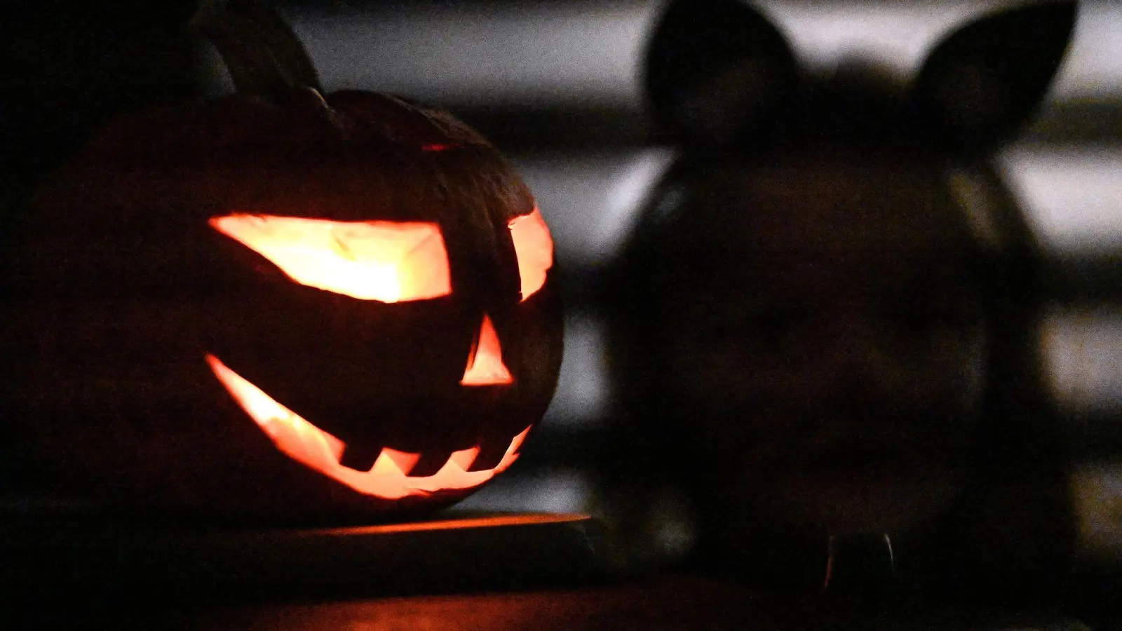 Die Polizei ermittelt nach einem Schockfund in einem Halloween-Schokoriegel.  (Symbolbild: Marijan Murat/dpa)