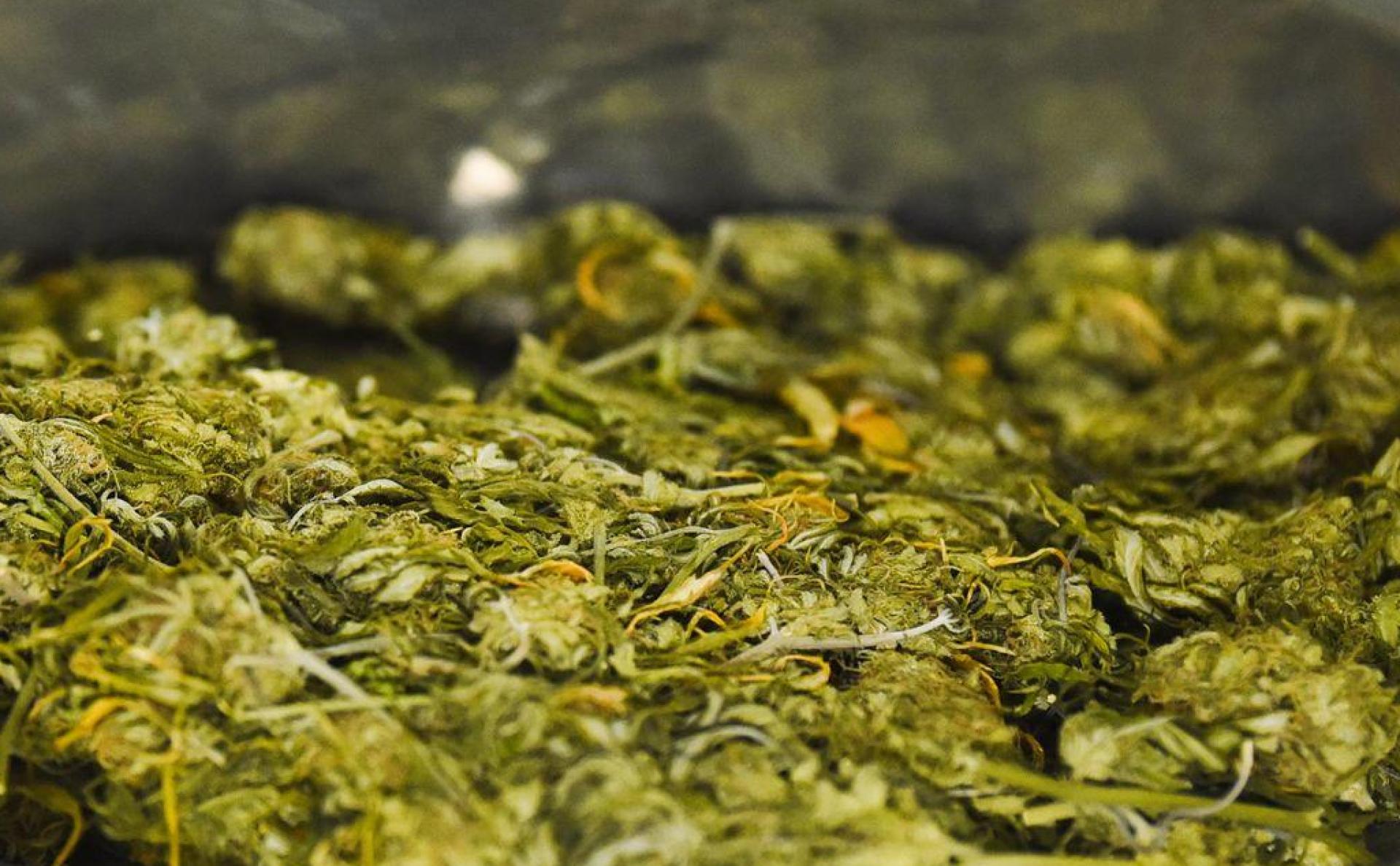 Polizisten haben bei Kontrollen am Wochenende auf der A6 Drogen gefunden. (Symbolbild: Nicolas Armer/dpa)