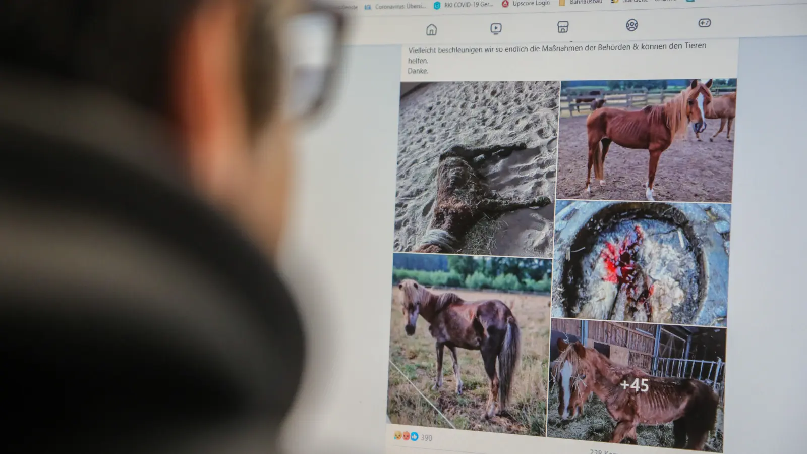 Abgemagerte Pferde, blutende Hufe - die Bilder, die derzeit im Internet über Facebook die Runde machen, sind schwer zu ertragen und rufen Tierschützer auf den Plan. In dem Beitrag wird eine Pferdehalterin aus Amberg-Sulzbach angeprangert und das Veterinäramt kritisiert.  (Bild: Wolfgang Steinbacher)