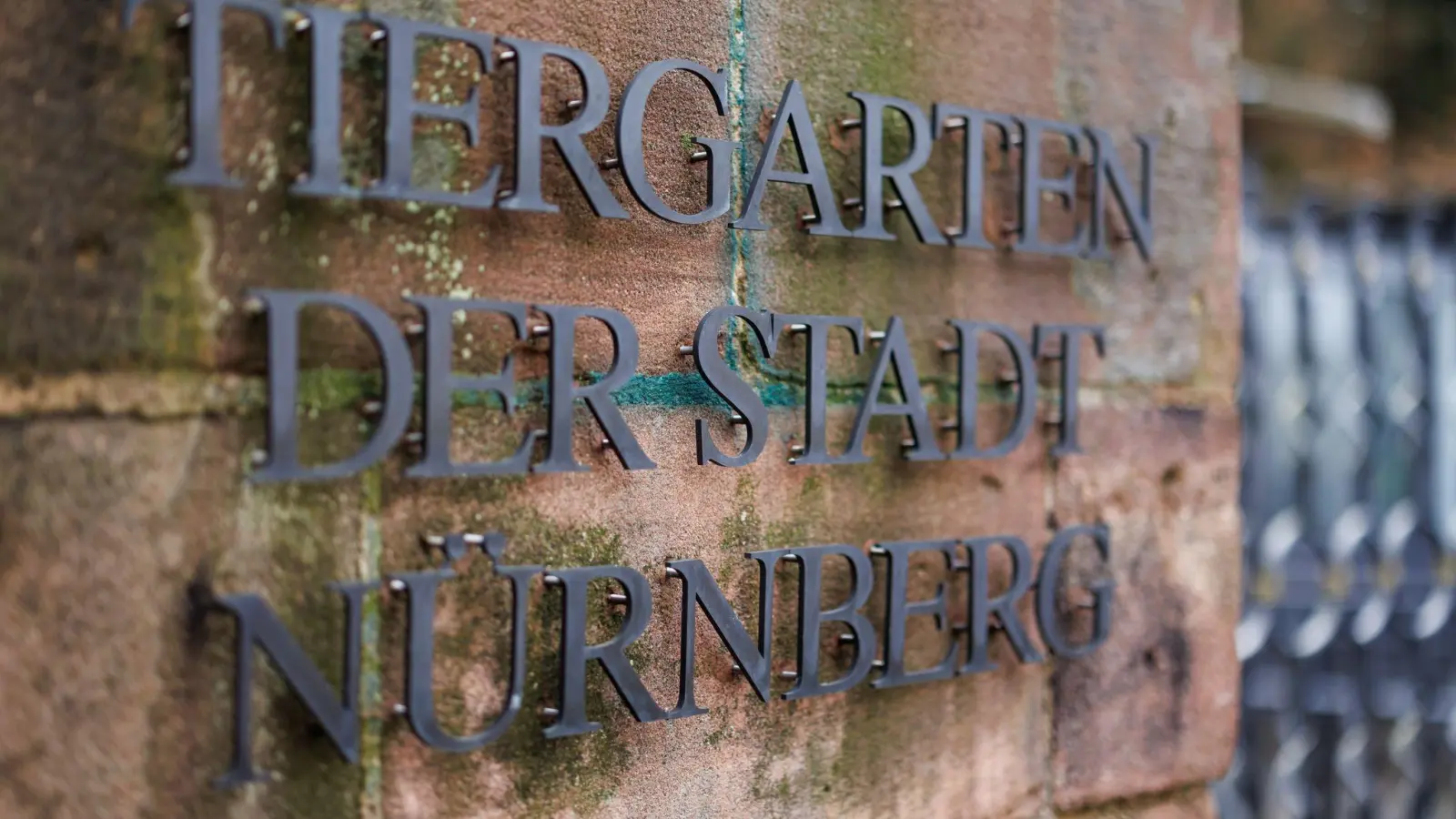 Heute bleibt der Tiergarten geschlossen. (Archivbild) (Bild: Daniel Karmann/dpa)