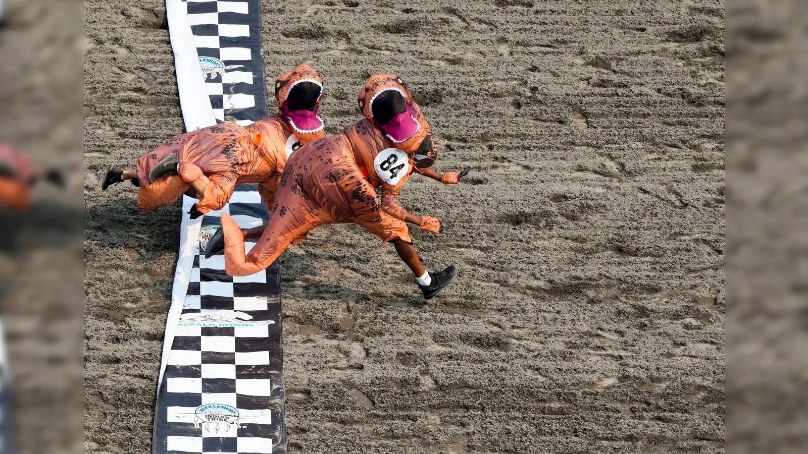 Am Ende gab es ein knappes Finish beim T-Rex World Championship Race in Emerald Downs. (Bild: Lindsey Wasson/AP)