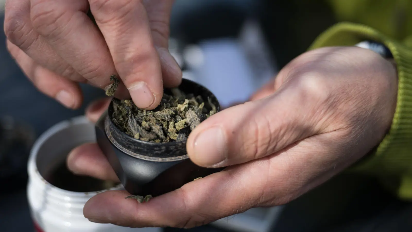 Die Bundesländer hätten bislang keine klaren Regelungen für die Lizenzen von Anbauflächen für Cannabis aufgestellt und „bis auf wenige Ausnahmen“ noch nicht mal eine zuständige Behörde benannt. (Bild: Sebastian Gollnow/dpa)