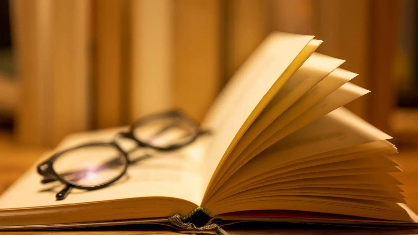 Die 35. Weidener Literaturtage finden wieder mit mehreren interessanten Gästen statt. (Symbolbild: Monika Skolimowska/dpa)