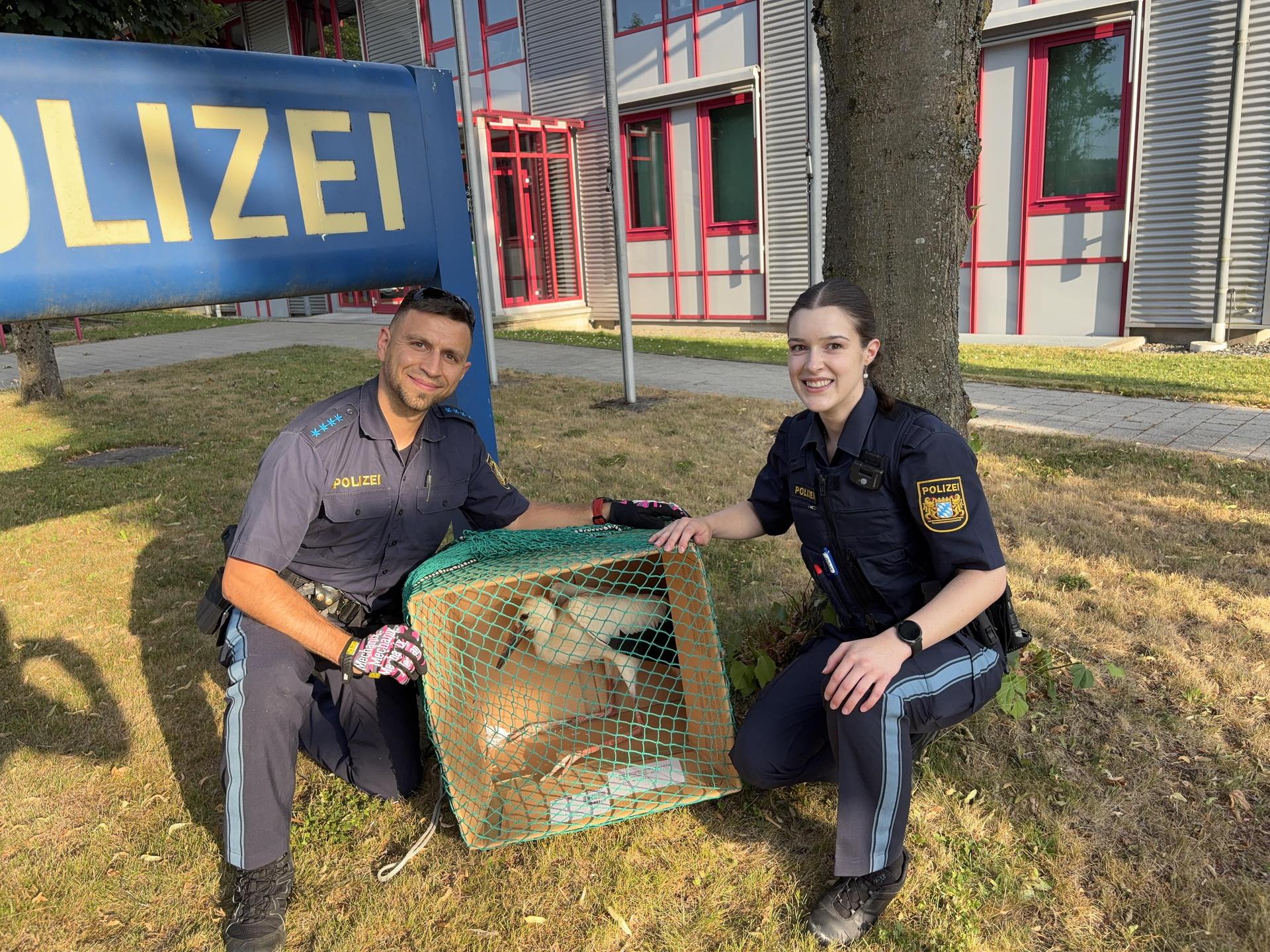 Die Streifenbesatzung der PI Vohenstrauß (PHM Strehl und PMAnwin Lena Zwick) mit dem geretteten Jungstorch vor dem Transport in die Vogelauffangstation Regenstauf. (Bild: PI Vohenstrauß)