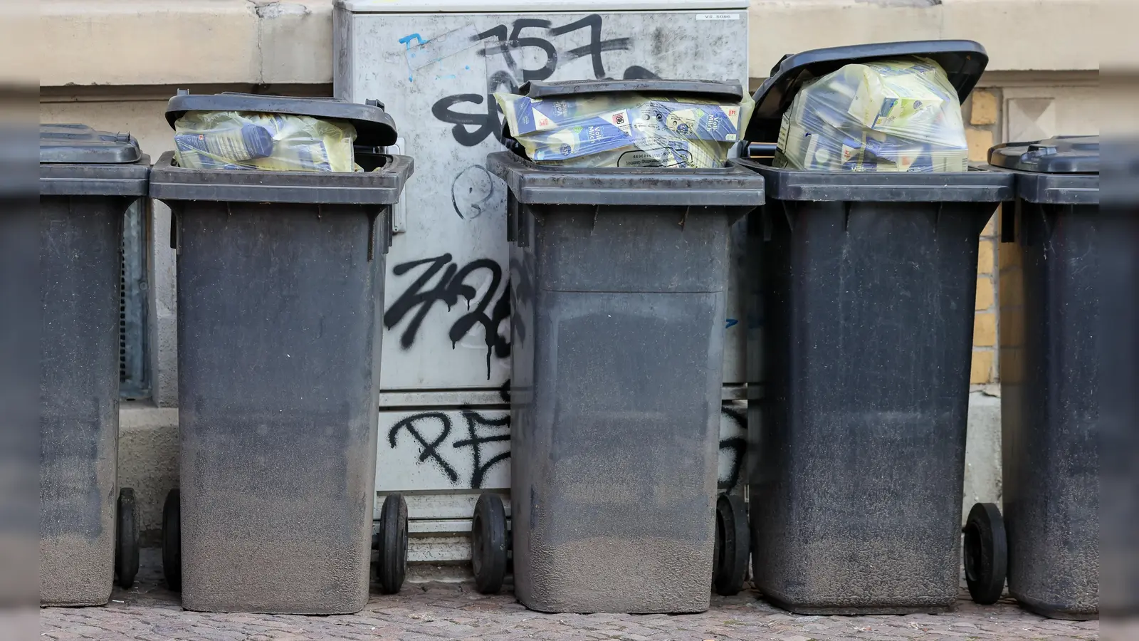 Ein Unbekannter hat am Donnerstag, 2. Mai, eine schwarze Restmülltonne in Moosbach gestohlen. (Symbolbild: Jan Woitas/dpa)