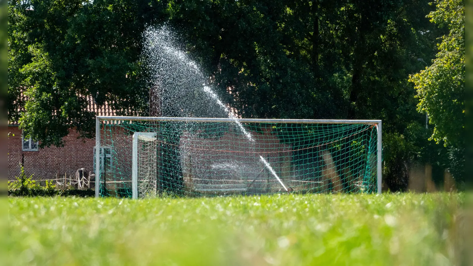 Sex auf dem Sportplatz Polizei stoppt liebestolles Pärchen Weiden24 