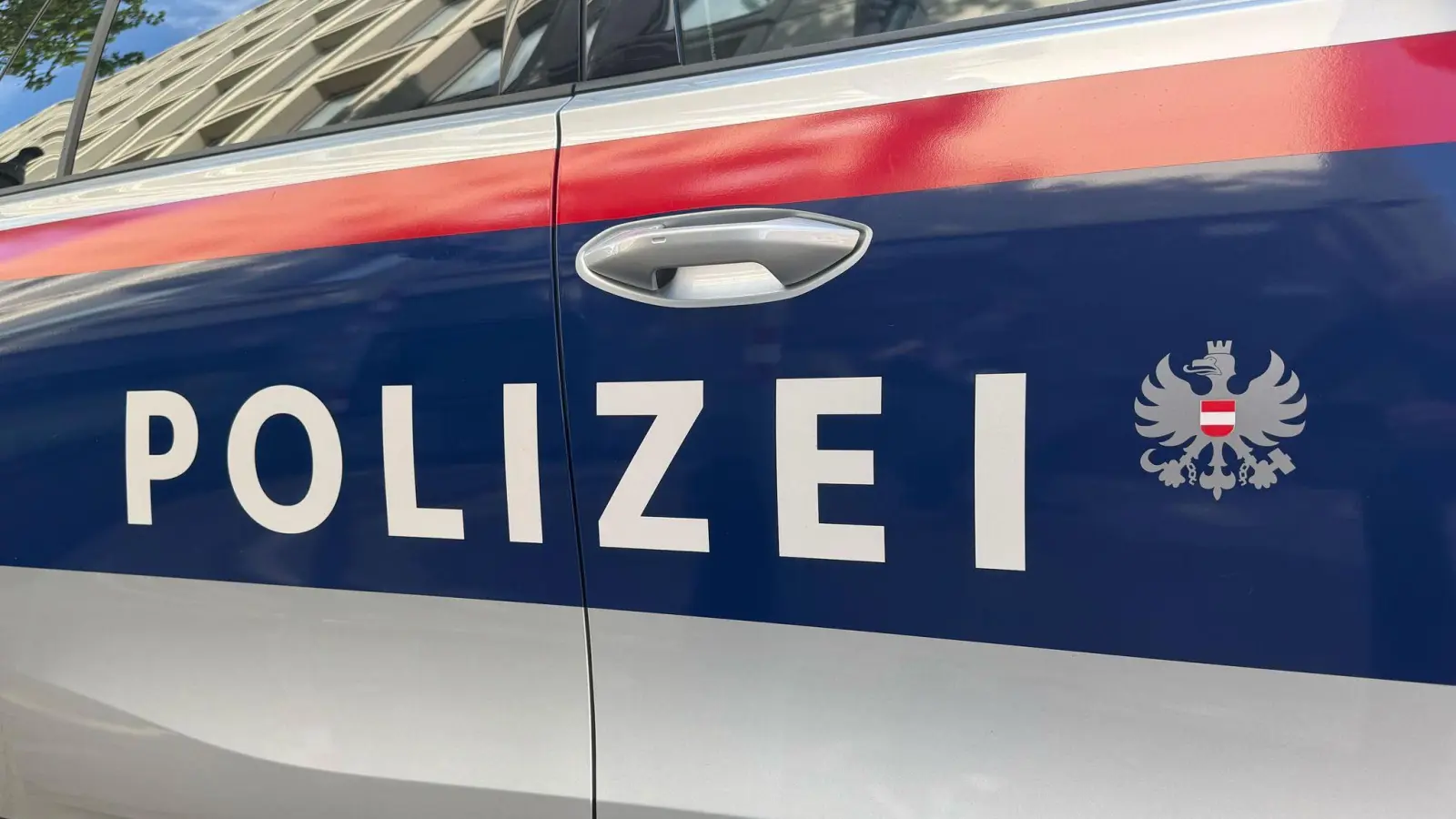 Die 64-Jährige starb noch am Tatort. (Symbolbild) (Bild: Matthias Röder/dpa)