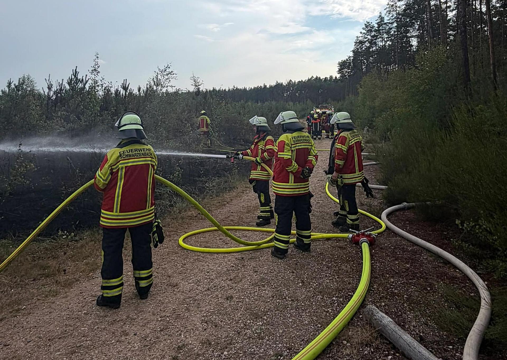 Schnell konnte der Brand in der Nähe des Dießfurter Freizeitsees eingedämmt werden. (Bild: Feuerwehr Dießfurt)