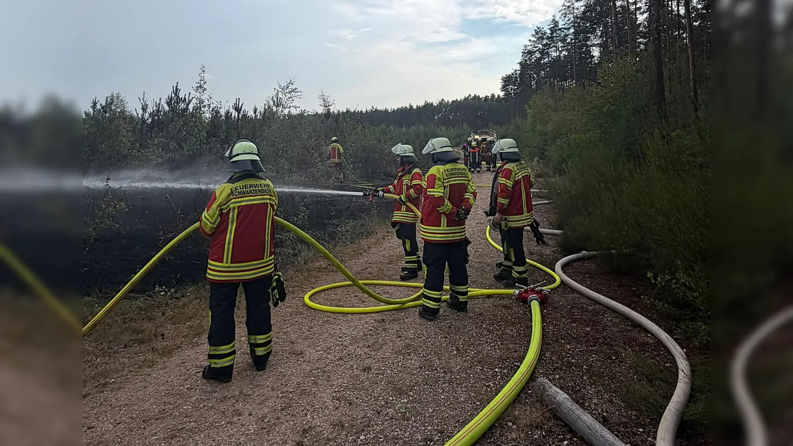Schnell konnte der Brand in der Nähe des Dießfurter Freizeitsees eingedämmt werden. (Bild: Feuerwehr Dießfurt)