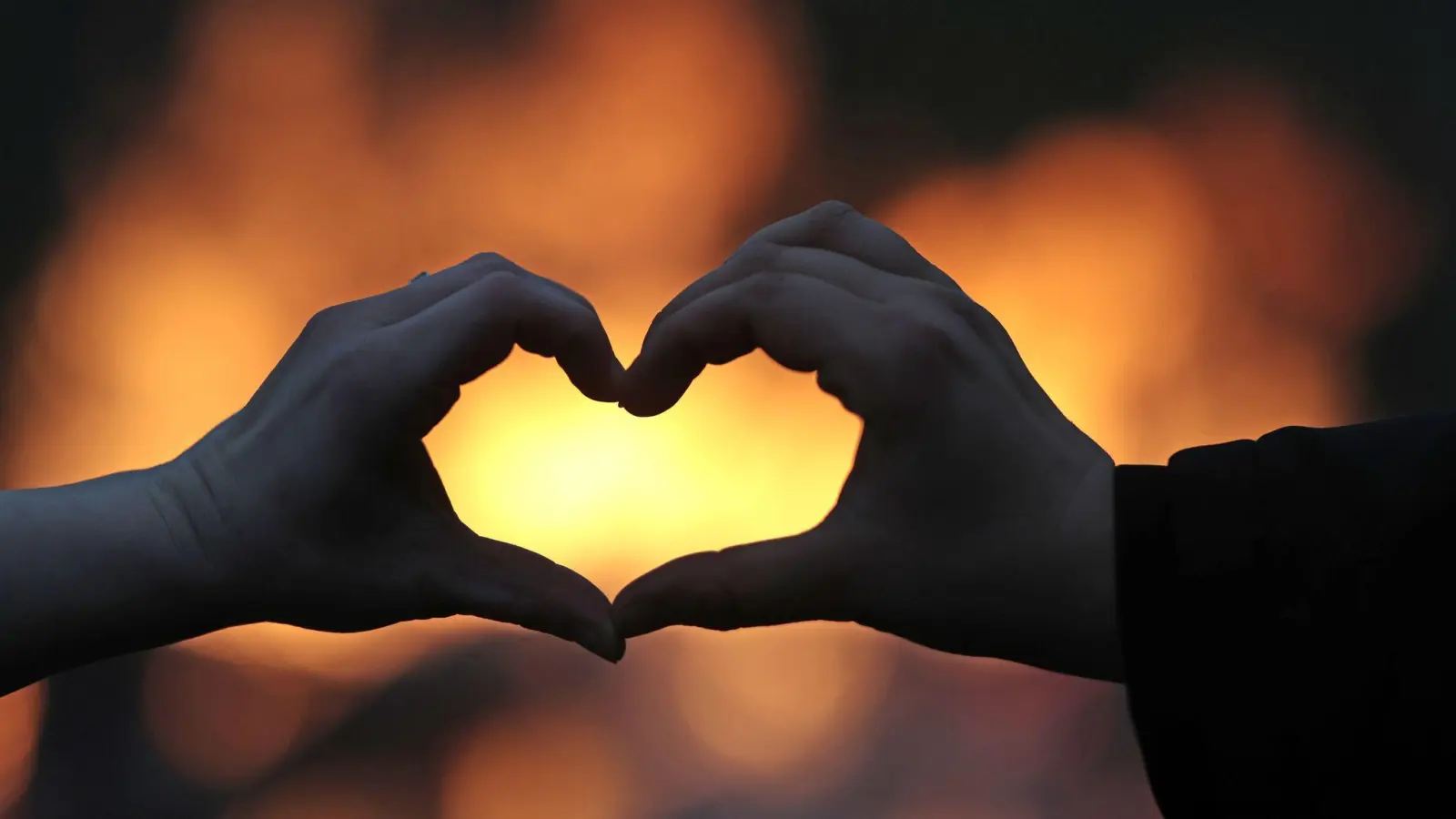 Bei Bauer sucht Frau sucht diesmal ein 32-Jähriger aus dem Landkreis Tirschenreuth nach einer Liebe fürs Leben.  (Bild: Matthias Bein/dpa)