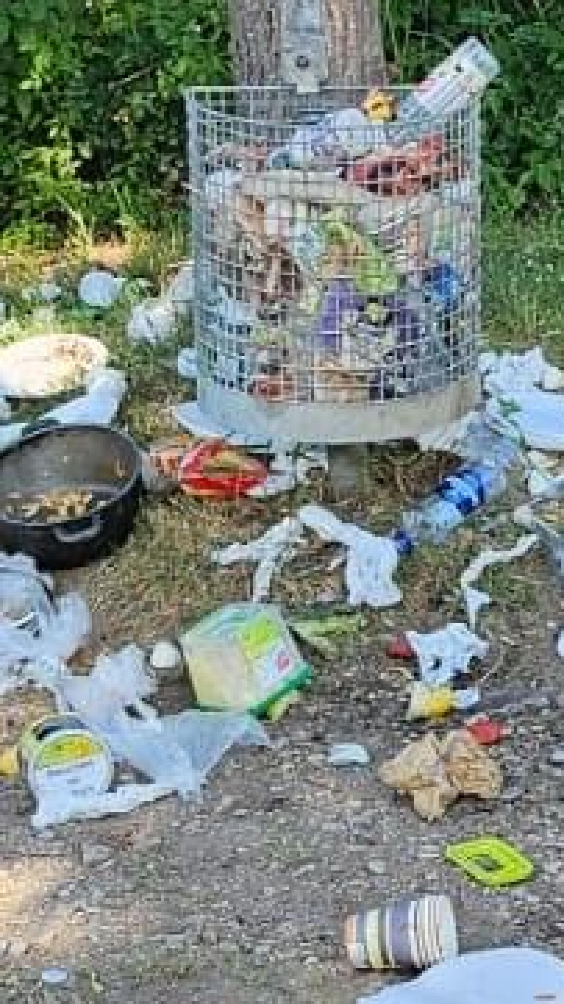 Eine Szene, wie man sie oft sieht am Grill- und Streetballplatz am Amberger Drahthammer. Viele Nutzer des Platzes lassen ihren Müll einfach liegen in der Landschaft. (Bild: Erika Jenke)