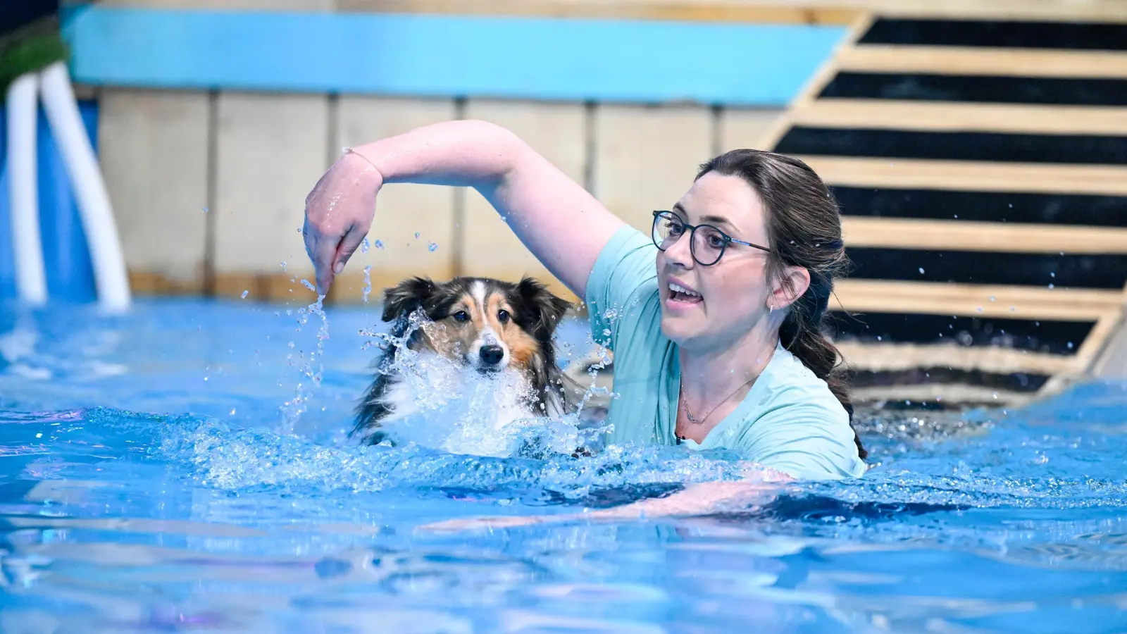 Ramona Stallbaum aus Krummennaab war mit ihrer Sheltie-Hündin „Nala” am Freitagabend in der RTL-Show „Top Dog Germany – Der beste Hund Deutschlands” zu sehen. Bei der letzten Aufgabe zögerte „Nala” zu lange mit dem Sprung ins Wasser, dabei ging wertvolle Zeit verloren. Am Ende reichte es nicht fürs Weiterkommen. (Bild: RTL/Markus Hertrich)