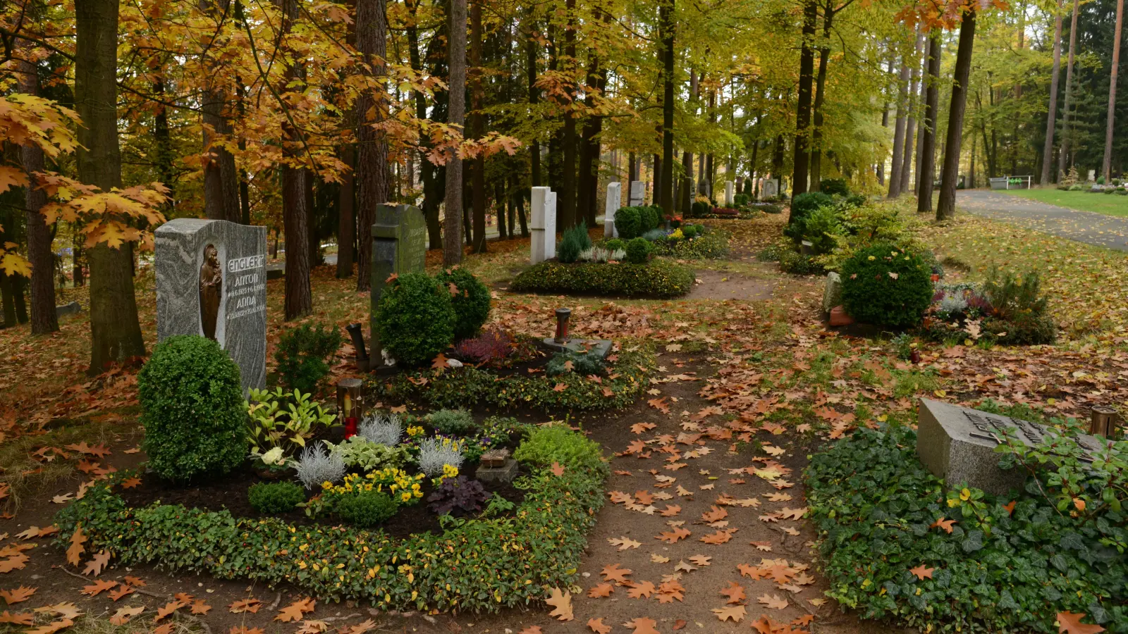 Auf dem Waldfriedhof in Weiden wurden Blumen von mehreren Gräbern herausgerissen. Die Polizei ermittelt. (Symbolbild: Hartl)