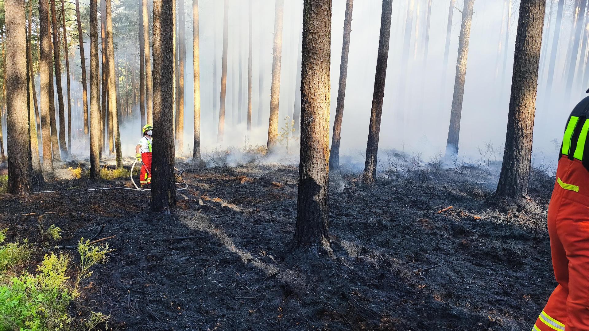 Ein Waldbrand nahe Manteler Forst hat am Sonntagmorgen zahlreiche Einsatzkräfte gefordert. Brandbekämpfung gab es von vier Seiten. (Bild: Jürgen Masching)