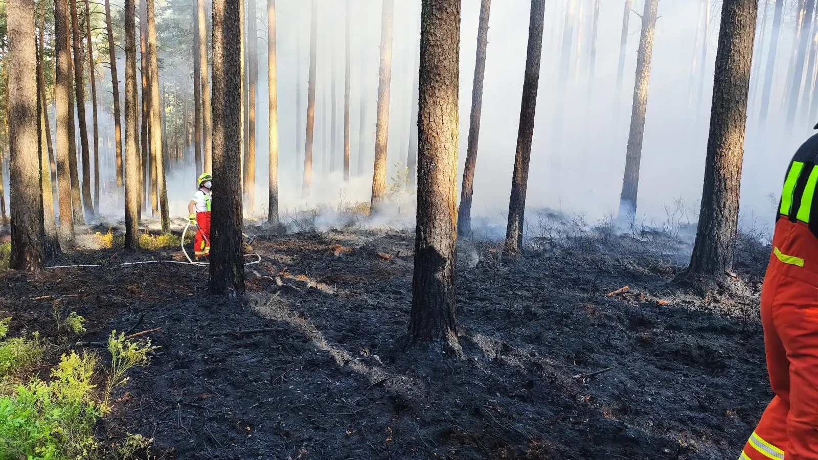 Ein Waldbrand nahe Manteler Forst hat am Sonntagmorgen zahlreiche Einsatzkräfte gefordert. Brandbekämpfung gab es von vier Seiten. (Bild: Jürgen Masching)